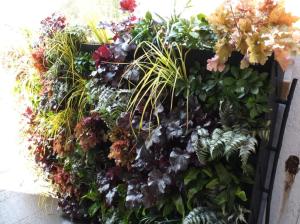 ITV's Love Your Garden Green wall
